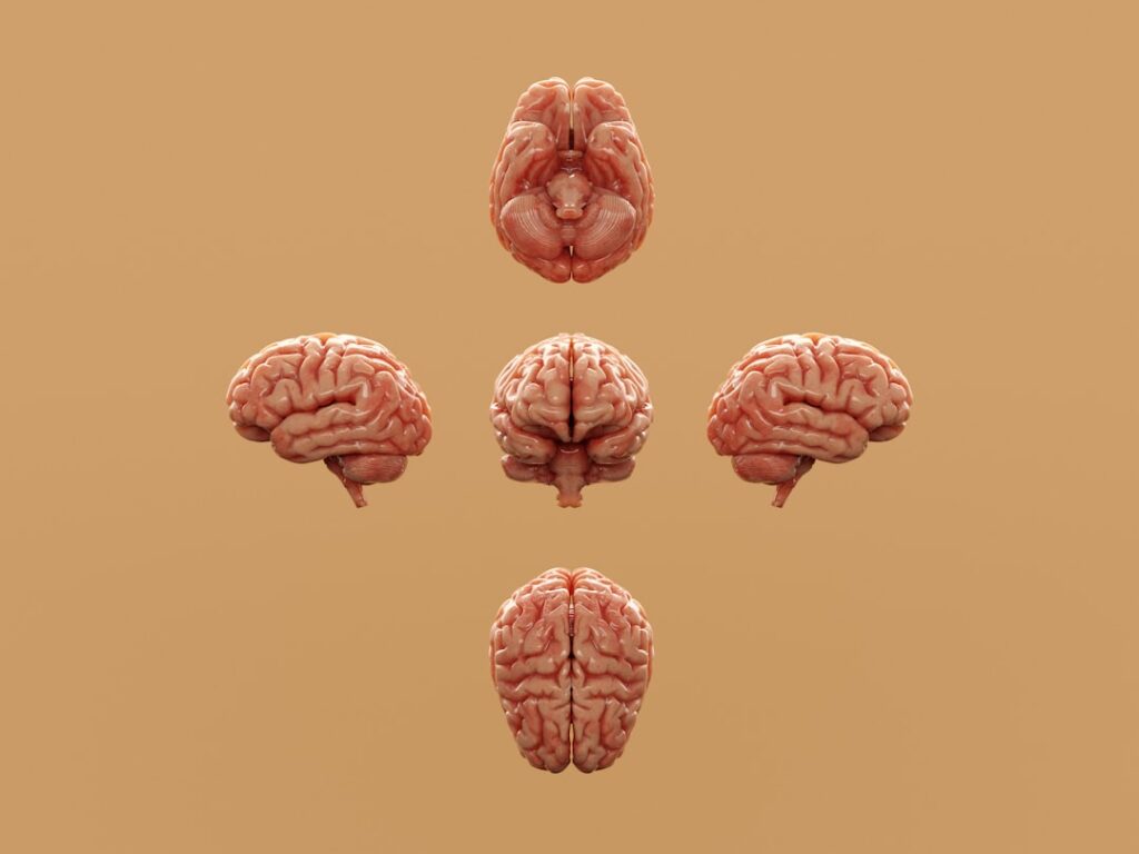 Brain Zaps Explained: What They Are and Why They Happen