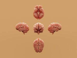 brain zaps explained
