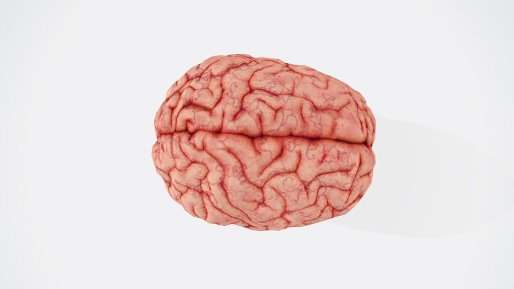 Cerebral Review (2026): ADHD, Anxiety, and Depression Care After the DEA and DOJ Actions