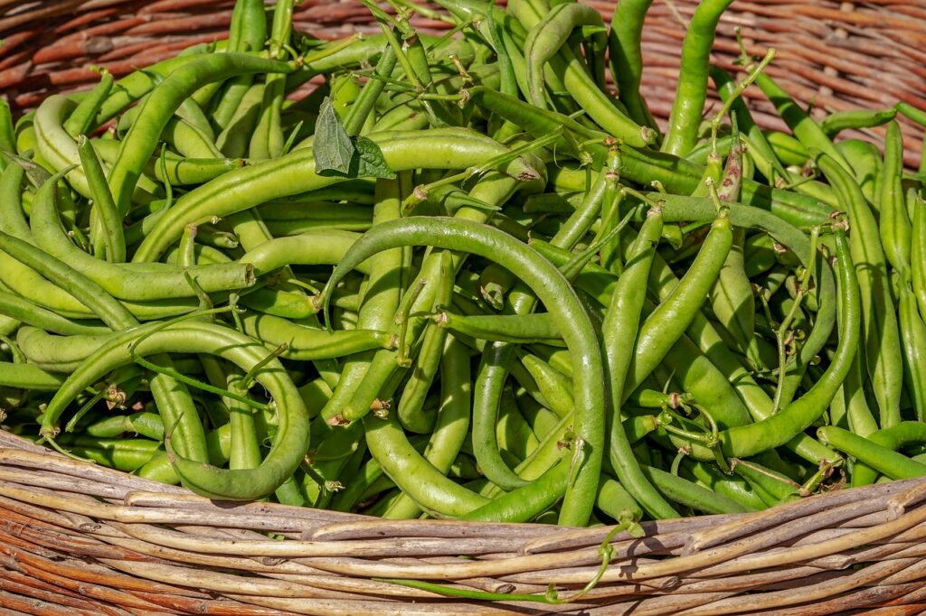 Foods to Eat When Constipated: High-Fiber Options for Quick Relief