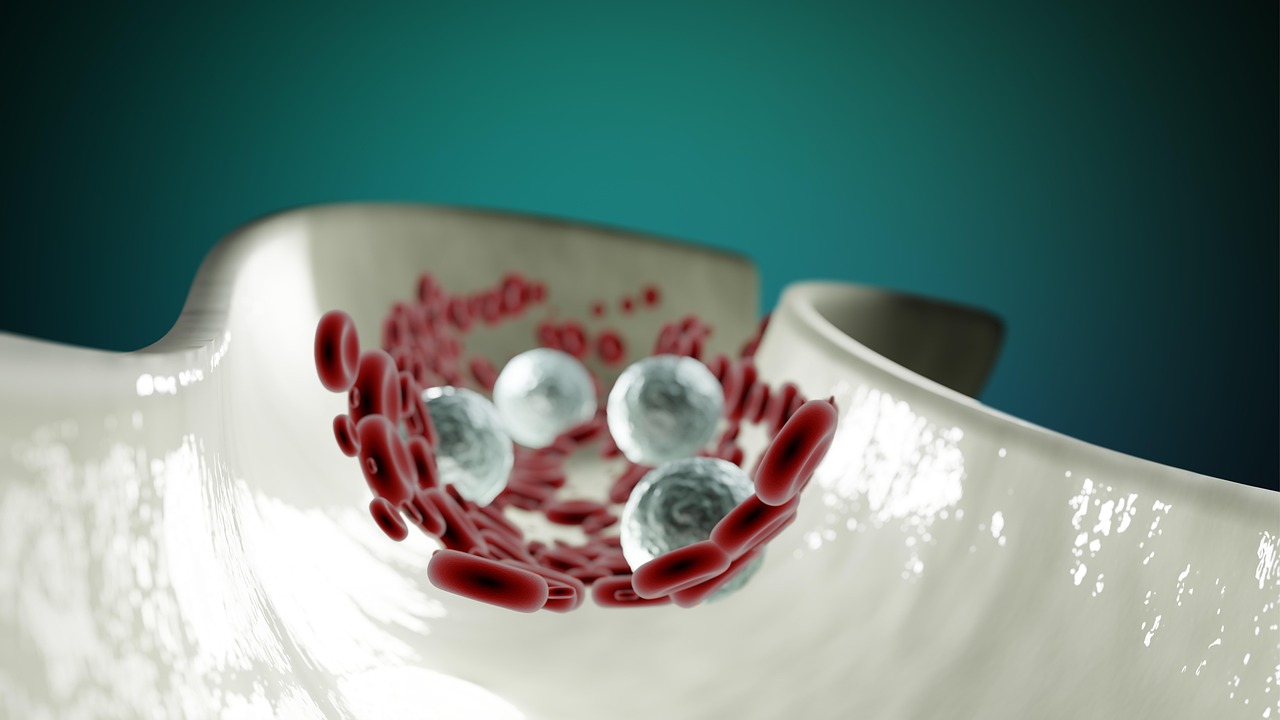 How to Lower White Blood Cell Count Naturally 4 blood cells, anatomy, healthcare, circulatory system, circulation, artery, cardiovascular, science, rbc, wbc