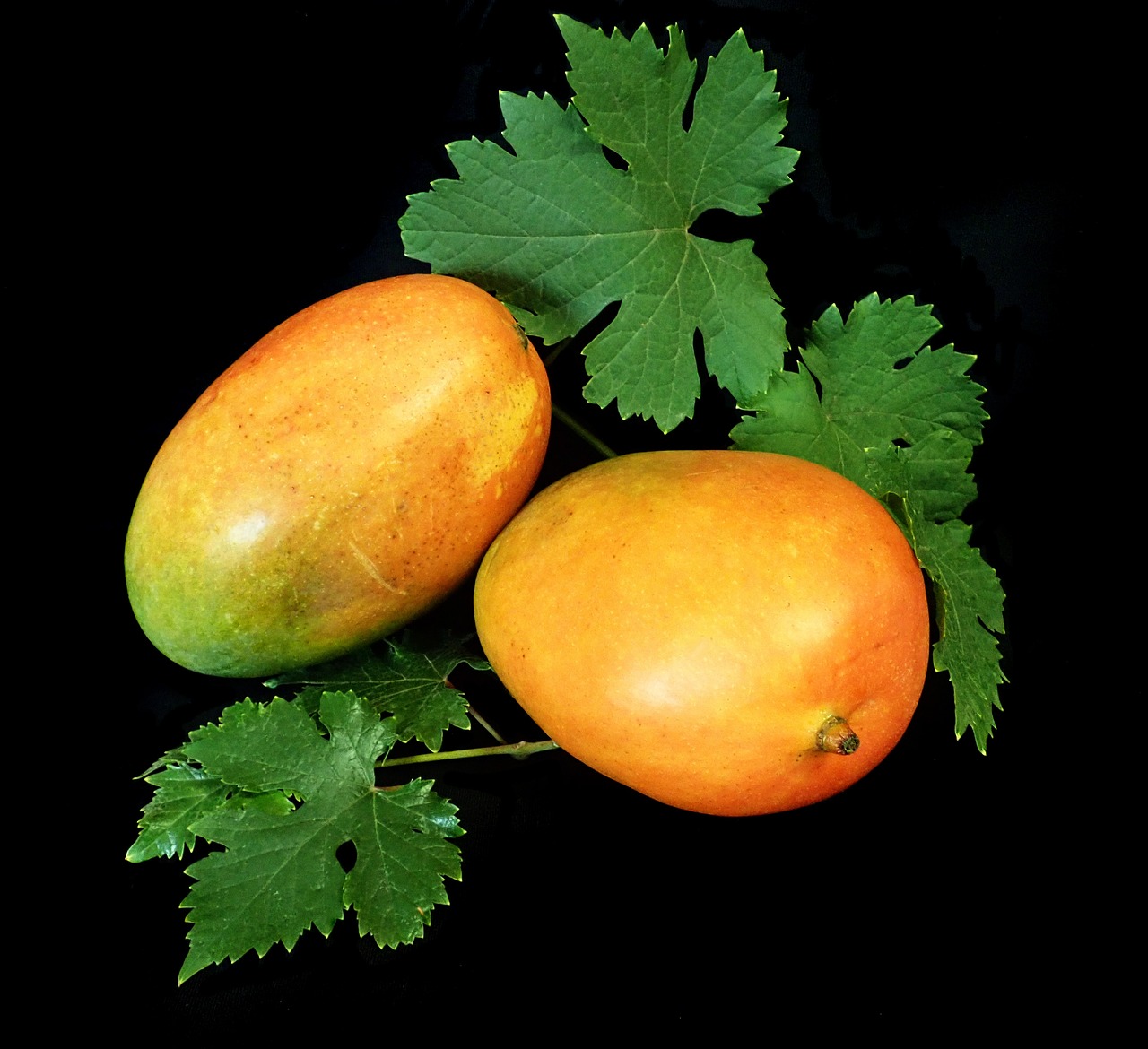 Is Mango Healthy? Sugar Content, Nutrition, and Benefits 1 fruit, tropical, mango, healthy, nature, summer, food, nutrition, diet