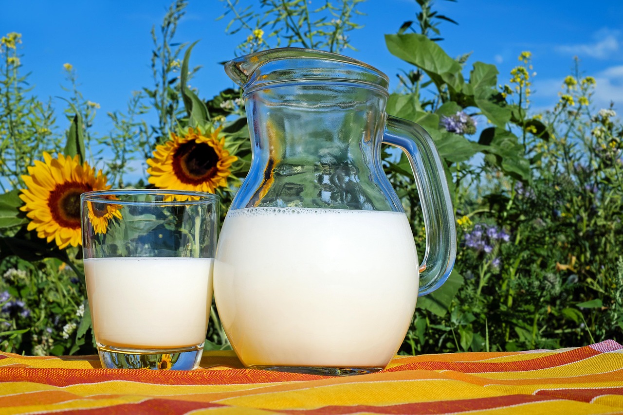 Is Oat Milk Healthy? Nutrition, Benefits, and Downsides 10 milk, glass, pitcher, fresh, fresh milk, drink, beverage, dairy, dairy products, glass pitcher, healthy, delicious, vitamins,
