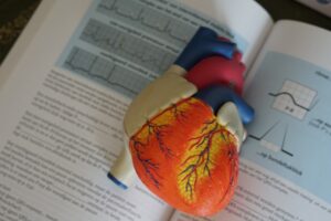ovulation guide