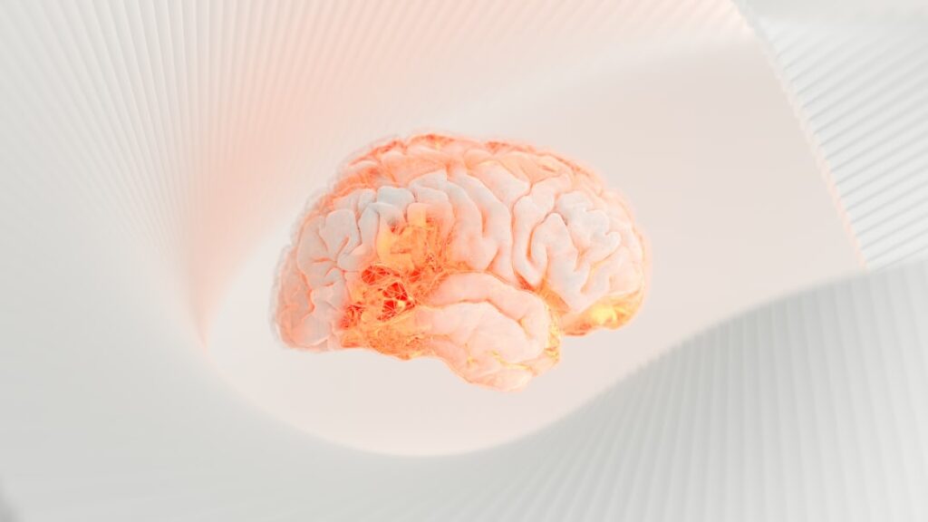 Stroke: Warning Signs, Emergency Treatment, and Recovery