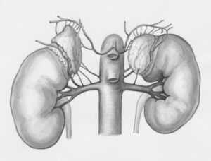 symptoms of kidney infection