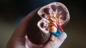 symptoms of low creatinine