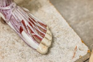 symptoms of peripheral neuropathy