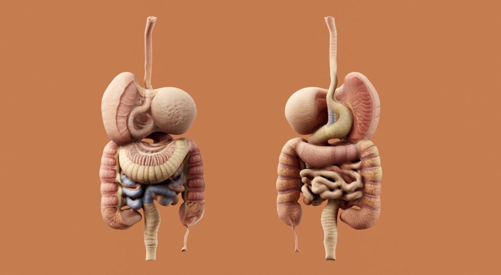 When to See a Doctor for Hemorrhoids: Signs You Need Help