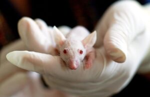 clinical trials for bipolar disorder