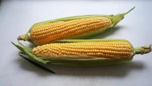 is corn healthy