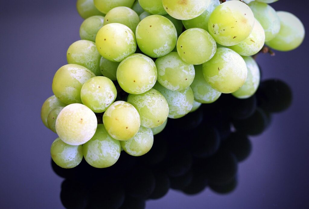 Is Frozen Fruit Healthy? Fresh vs Frozen Nutrition Compared