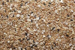 is rice healthy