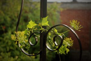 psoriatic arthritis guide