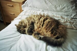 sleep tracking devices