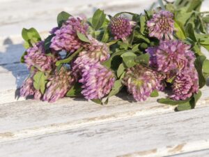 symptoms of menopause after hysterectomy