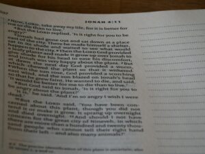 what is a formulary