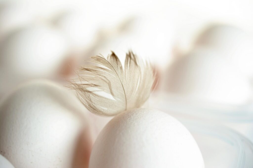 What to Eat When Sick: Best Foods for Every Illness
